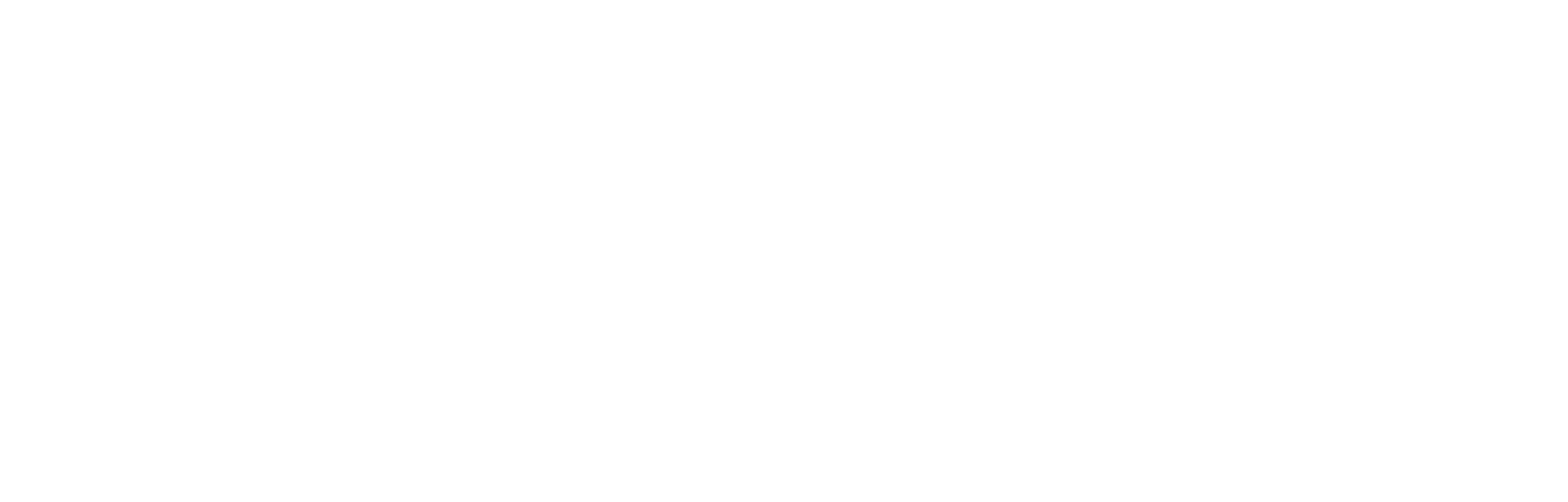 Logo Datarisk